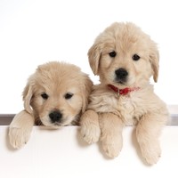 Profile Picture of Mark Twomey (@mark-twomey-10) on Quora