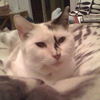 Kelly Gabriel - Quora Profile Picture of Kelly Gabriel (@kelly-gabriel-9) on Quora