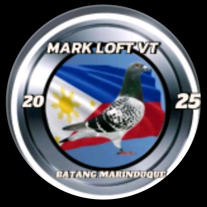 Profile Picture of Boss loft tv🕊️ (@mark.loft3) on Tiktok