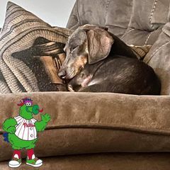 Heather Newlands - Tiktok Profile Picture of Heather Newlands (@heathernewlands23) on Tiktok