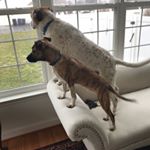 Profile Picture of Ian Glassmacher (@ian_glassmacher3) on Instagram