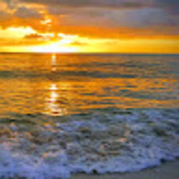 Profile Picture of Dayleah Taylor (@dayleahrose) on Poshmark