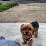 Profile Picture of Eugene Gentile (@twofleamark) on Instagram