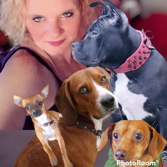 Profile Picture of Christina Vandenbosch (@christinavan705) on Poshmark