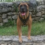 Profile Picture of alex (@alexmancino_10) on Instagram