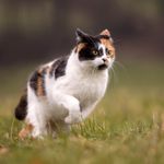 Kyle Kitner - Instagram Profile Picture of Kyle Kitner (@trecool1ster) on Instagram