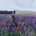 Profile Picture of Jason (@jasonbeeton) on Instagram