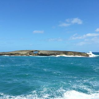 William Tomasiewicz - Facebook Profile Picture of William Tomasiewicz (@william.tomasiewicz) on Facebook