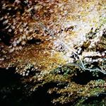 Profile Picture of terrybeauregard (@terrybeauregard) on Instagram