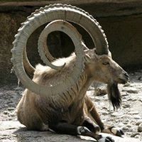 Profile Picture of Ian Bowen (@ian-bowen-15) on Quora