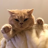 Profile Picture of Jacqueline Lack (@jacqueline-lack-1) on Quora