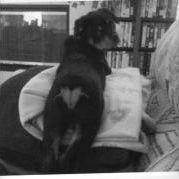 Profile Picture of Deb Burns (@scrapper247) on Pinterest