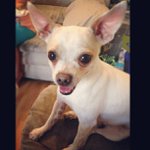 Profile Picture of Travis Jones (@cookymroney) on Instagram