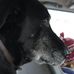 Profile Picture of Badger Kirby (@badger.kirby.9) on Facebook
