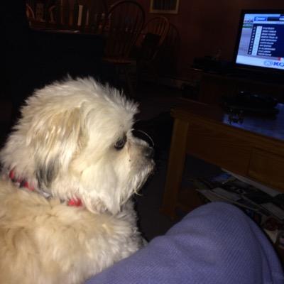 Profile Picture of Paul Gilpatrick (@pgil4589) on Twitter