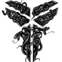 Profile Picture of Caleb Baines (@bainesca) on Pinterest