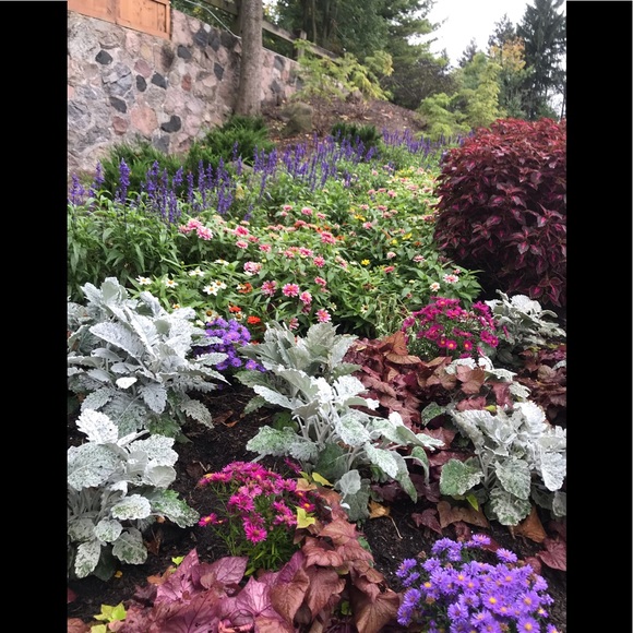 Angela Moretto - Poshmark Profile Picture of Angela Moretto (@damoretto) on Poshmark