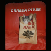 Profile Picture of RAEV (@raev8655) on Youtube