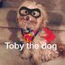 Profile Picture of Toby Andrade (@toby.andrade.921) on Facebook