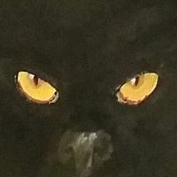 Profile Picture of Murphy Jenkins (@murphy-jenkins) on Quora