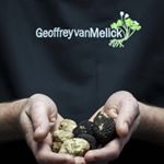Profile Picture of Geoffrey van Melick (@truffelsbestellen) on Instagram