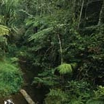 Profile Picture of PhyllisMercer (@phyllismercerj) on Instagram