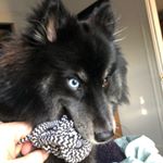 Profile Picture of Sean Conover (@seanconover123) on Instagram