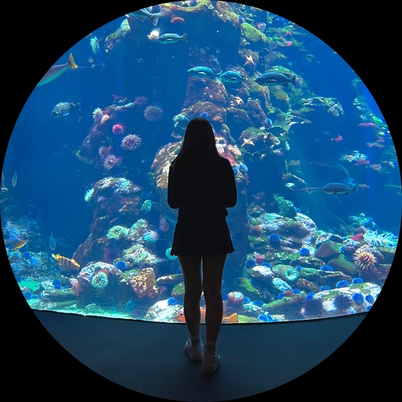Profile Picture of Heather Pham (@hpham246) on Poshmark