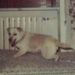 Profile Picture of Angelo Carbone (@carbone1976) on Pinterest