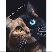 Profile Picture of Cham So (@chamso8636) on Youtube