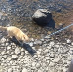 Profile Picture of Michael James Jandro (@michael.j.jandro) on Facebook