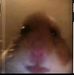 Profile Picture of Robert Minca (@robert.minca.96) on Facebook