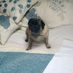 Profile Picture of Michael McGreal (@michaelmcg91) on Instagram