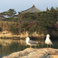 Dawn Durant - Quora Profile Picture of Dawn Durant (@dawn-durant-1) on Quora