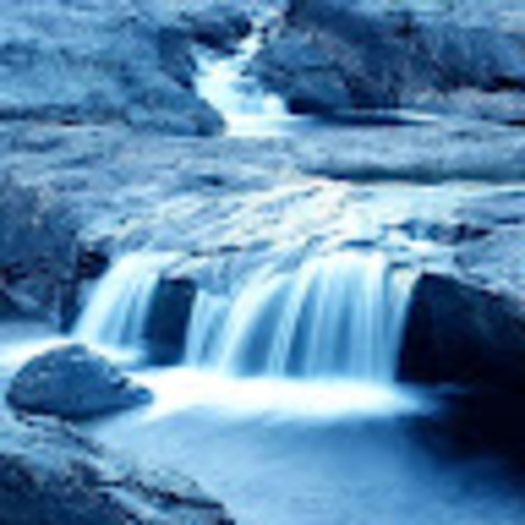 Profile Picture of Daniel Self (@danielwself) on Poshmark