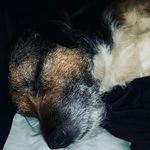 Profile Picture of lucy glover (@lucyglover37) on Instagram