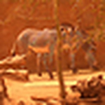 Profile Picture of Ramakrishnan K P (@ram k p) on Flickr