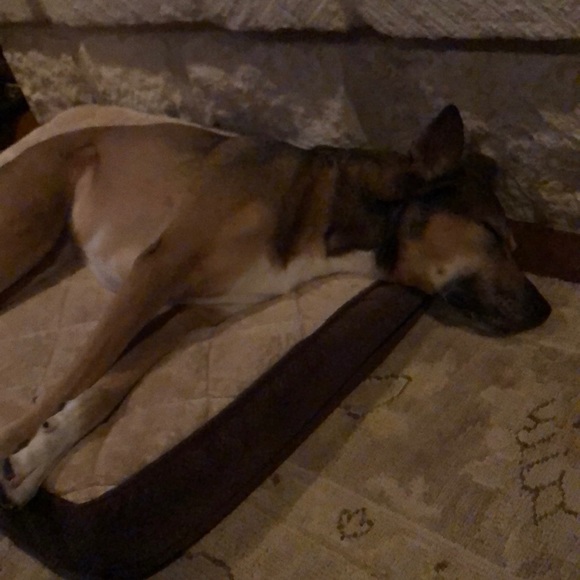 Profile Picture of Bill Sweaney (@bsweaney) on Poshmark