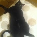 Profile Picture of Luke Clint (@lukeclint1872) on Instagram