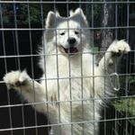 •Eric - Instagram Profile Picture of •Eric (@i.have.fortnite.wins) on Instagram