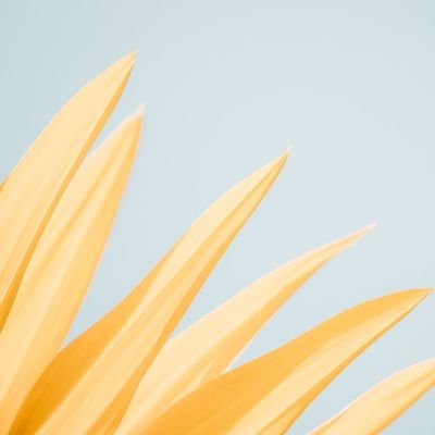 Profile Picture of Julia Matson (@juliamatson6) on Twitter