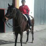 Profile Picture of Bernardojimenez.com (@bernardo_chulo_jimenez) on Instagram