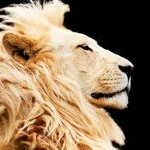 Profile Picture of danielfrancos (@danielfrancos) on Instagram