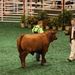 Profile Picture of John Laxson (@johnlaxson50) on Pinterest