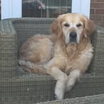 Profile Picture of Sue Gammon (@sue.gammon.50) on Facebook