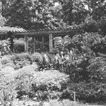 Profile Picture of Alex Doan (@alexx_doan) on Instagram