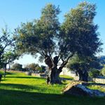 Profile Picture of Michael Poulton (@mrmichaelpoulton) on Instagram