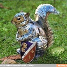 Profile Picture of David Osborne (@david7934) on Pinterest