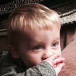 Profile Picture of Shawn Randles (@randlesshawn) on Instagram