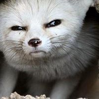 Profile Picture of Mark Mattison (@lastmouseonthel) on Pinterest